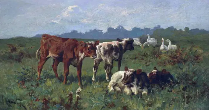 Cattle Grazing