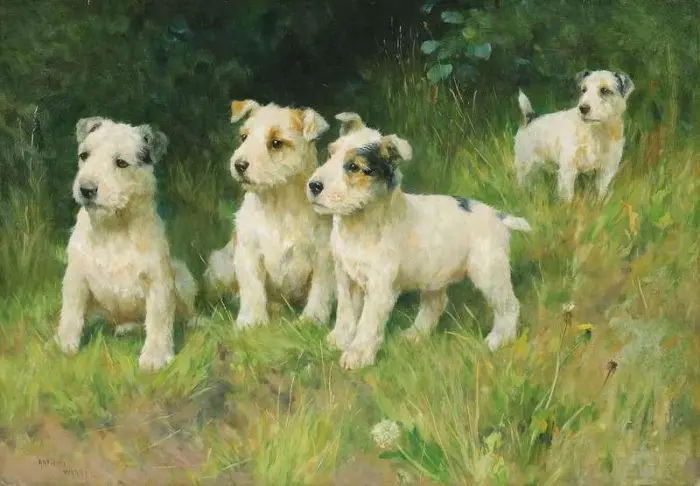 Подрастающее поколение