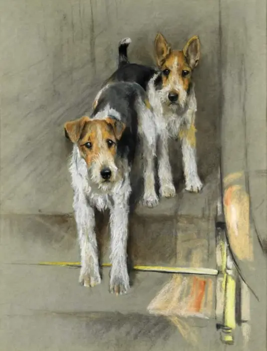 Wire Haired Terriers On A Staircase
