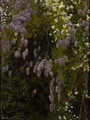 Квитн Се Глициние