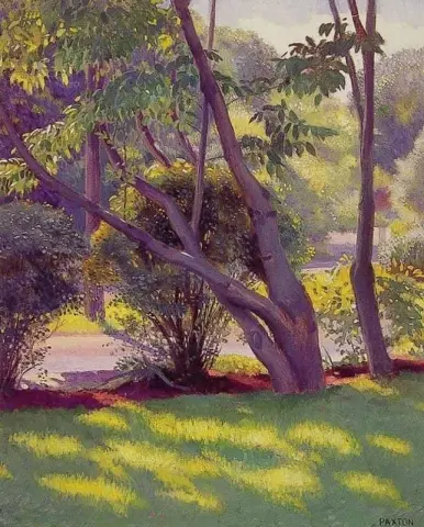 Газон в Ньютоне