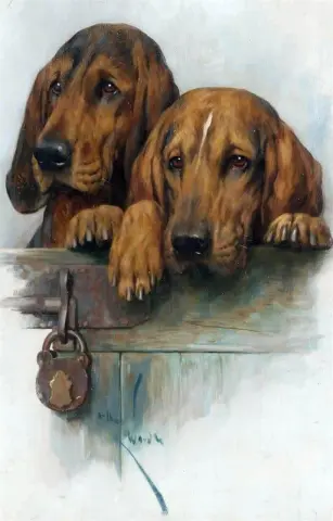 В ожидании почтальона