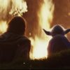 Luke Skywalker and Yoda in front of fire