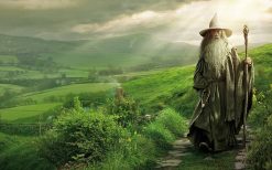 Gandalf The Grey at the Shire