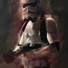 Stormtrooper portrait fan art