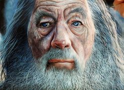 Gandalf the Grey portrait 4