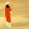 Abstract Vietnamese Lady in Traditional Dress Ao Dai 9