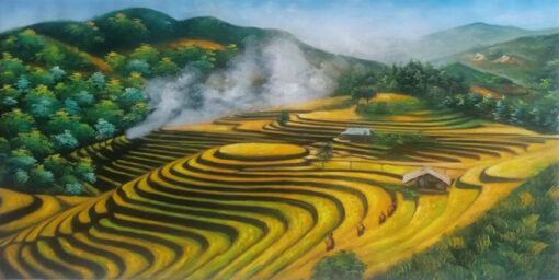 Beautiful landscape rice fields 1