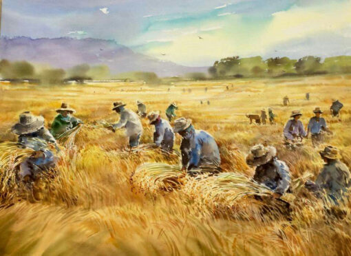 Farmers working in field 13