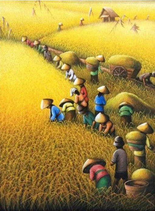 Farmers working in field 14