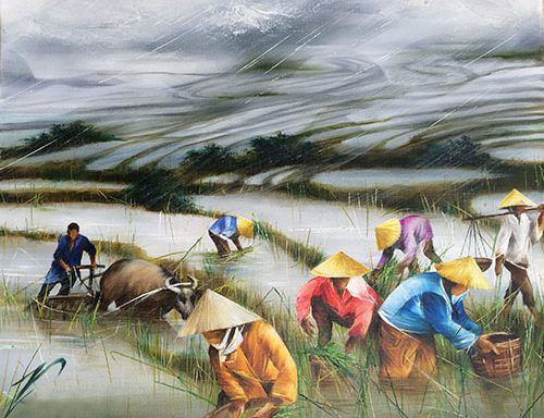 Vietnamese farmer in rice field 2