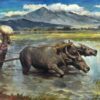 Vietnamese water buffalos in farms 1