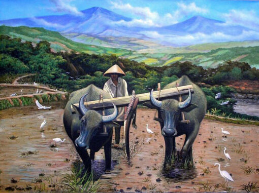 Vietnamese water buffalos in farms 5
