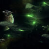 Star Trek Romulan warbird D_deridex class fan art 3