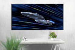 Star Trek USS Voyager fan art 9