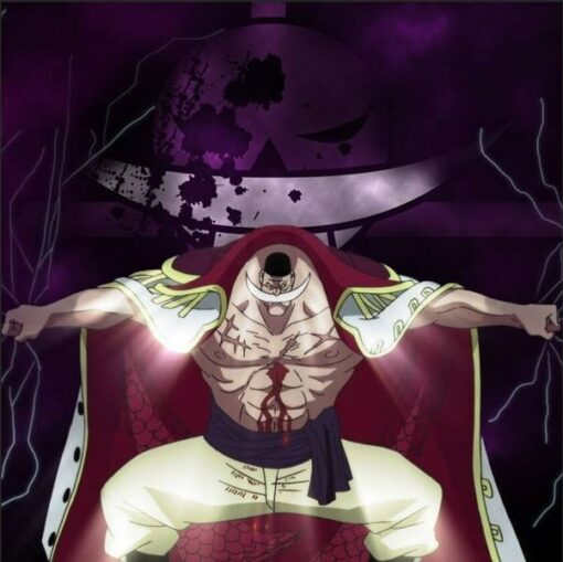 One Piece whitebeard fanart