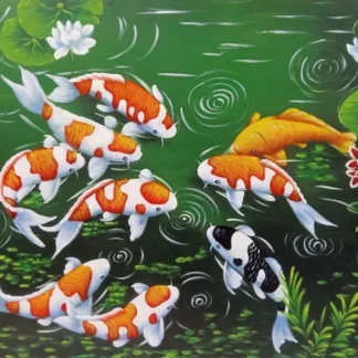 Koi fishes 2