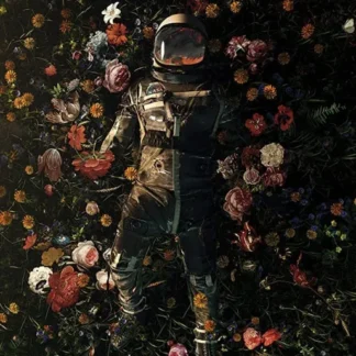 Astronaut in a Dreamy Floral Field