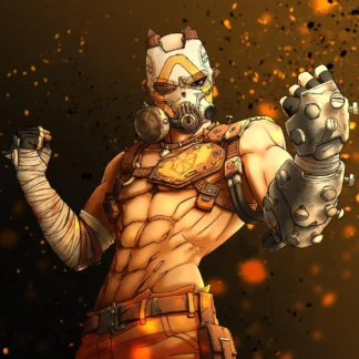 Borderlands Warrior