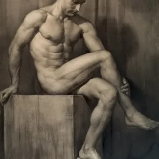 Desnudo Masculino 20th