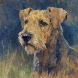 An Airedale Terrier