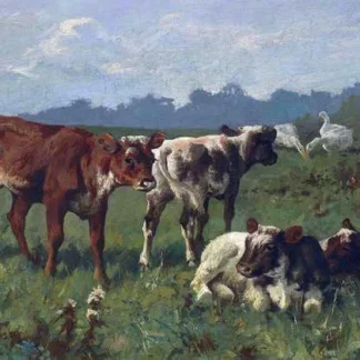 Cattle Grazing